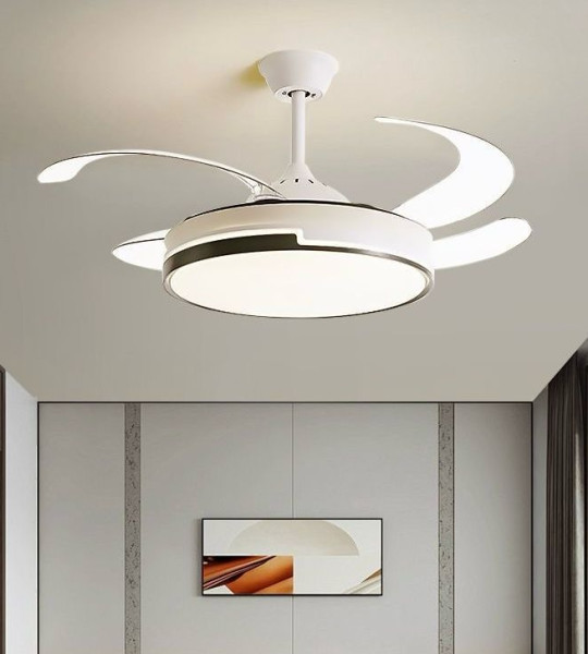 BRASSEUR LUMINEUX LED