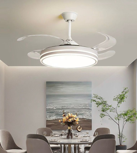 BRASSEUR LUMINEUX LED